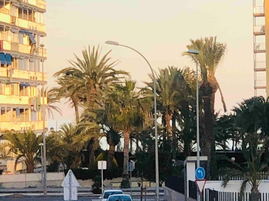 Apartamento Alicante Playa De San Juan Benimagrell Eksteriør bilde